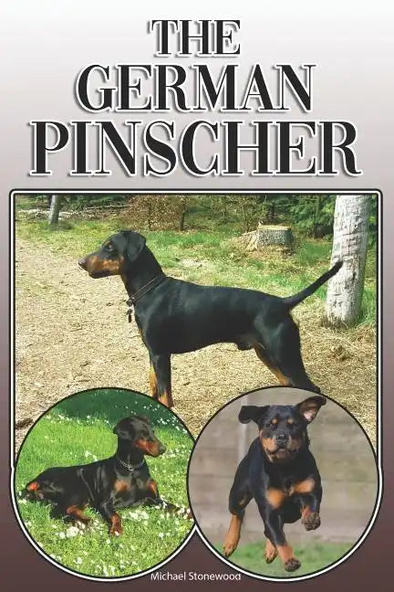 The German Pinscher: A Complete and Comprehensive Owners Guide To: Buying, Owning, Health, Grooming, Training, Obedience, Understanding and - Paperback