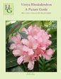 Vireya Rhododendron A Picture Guide: How I Grow Vireya In My Hawaii Garden - Paperback