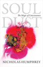 Soul Dust: The Magic of Consciousness - Paperback