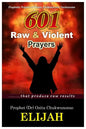 601 Raw & Violent Prayer: Prophetic Prayers of Power, Evidence and Testimonies - Paperback