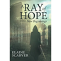 A Ray of Hope: New Beginnings - Hardcover