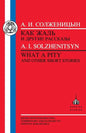 Solzhenitsyn: What a Pity - Paperback