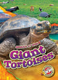 Giant Tortoises - Library Binding