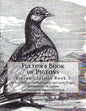 Fulton's Book of Pigeons: Pigeon Classics Book 5 - Paperback