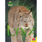 Lynx - Library Binding