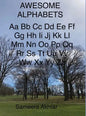 Awesome Alphabets - Hardcover