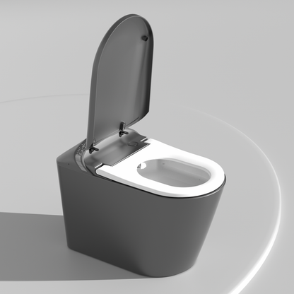 Starry Night Light Smart Toilet with Bidet Built In, Modern Design For  Bathr...
