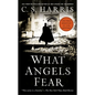 What Angels Fear: A Sebastian St. Cyr Mystery - Paperback