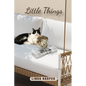 Little Things - Paperback