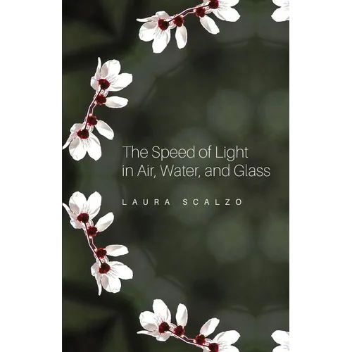 The Speed of Light in Air, Water, and Glass - Paperback