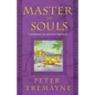 Master of Souls: A Mystery of Ancient Ireland - Paperback