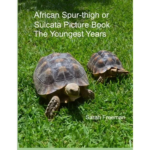 African Spur-thigh or Sulcata Picture Book - The Youngest Years - Paperback