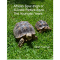 African Spur-thigh or Sulcata Picture Book - The Youngest Years - Paperback