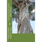 Selected King James Bible Verses - Paperback