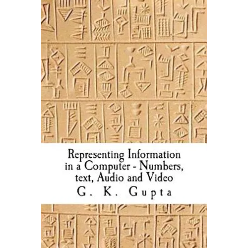 Representing Information in a Computer: Numbers, Text, Audio and Video - Paperback