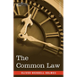 The Common Law - Paperback