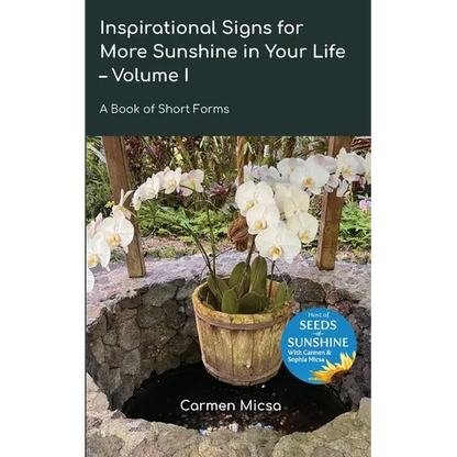 Inspirational Signs for More Sunshine in Your Life - Volume 1 - Paperback