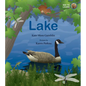 Lake: A See to Learn Book - Hardcover