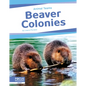 Beaver Colonies - Library Binding