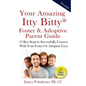 Your Amazing Itty Bitty Foster & Adoptive Parent Guide: 15 Key Steps to Successfully Connect With Your Foster Or Adopted Teen - Paperback