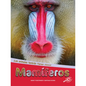Mamíferos: Mammals - Paperback