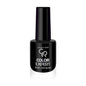 Golden Rose Color Expert Nail Polish No: 60 - Long-Lasting Single-Coat Formula