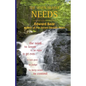 The Seven Deadly Needs - Paperback