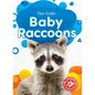 Baby Raccoons - Library Binding