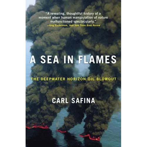 A Sea in Flames: The Deepwater Horizon Oil Blowout - Paperback
