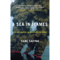 A Sea in Flames: The Deepwater Horizon Oil Blowout - Paperback