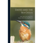David and the Sea Gulls; - Hardcover