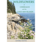Wildflowers of Chebeague and the Casco Bay Islands - Paperback