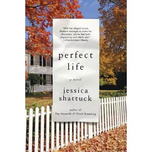 Perfect Life - Paperback