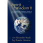 Spirit Wisdom II: The Enlightened Warrior's Guide To Personal And Cultural Transformation - Paperback