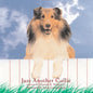 Just Another Collie - Paperback