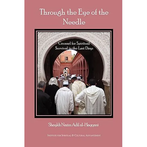 Through the Eye of the Needle - Paperback