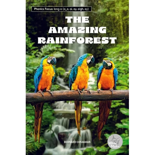 The Amazing Rainforest - Paperback