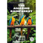 The Amazing Rainforest - Paperback