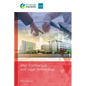 Bim Contractual and Legal Perspectives - Paperback