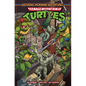 Teenage Mutant Ninja Turtles: Saturday Morning Adventures, Vol. 6 - Paperback