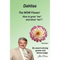 Dahlias The "WOW" Flower! How to grow "em" and show "em"! - Paperback