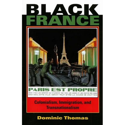 Black France: Colonialism, Immigration, and Transnationalism - Paperback