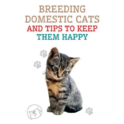 Breeding Domestic Cats and Tips to Keep Them Happy - Paperback