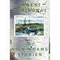 The Nick Adams Stories - Paperback