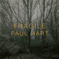 Fragile - Hardcover