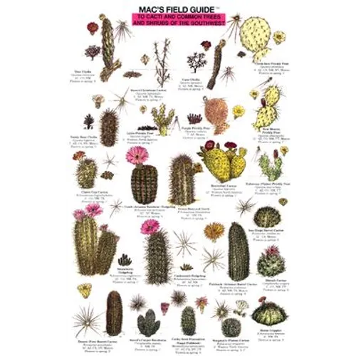 Mac's Field Guides: Southwest Cacti, Shrubs, Trees - Loose Leaf
