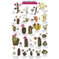 Mac's Field Guides: Southwest Cacti, Shrubs, Trees - Loose Leaf