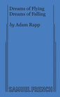 Dreams of Flying Dreams of Falling - Paperback