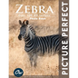 Zebra: Picture Perfect Photo Book - Paperback