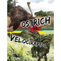 Ostrich vs. Velociraptor - Hardcover